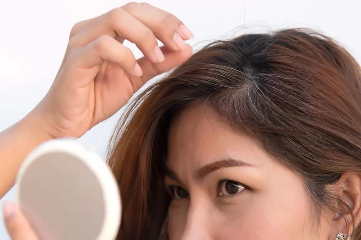 Manfaat Daun Kelor Untuk Menghilangkan Uban Pada Rambut