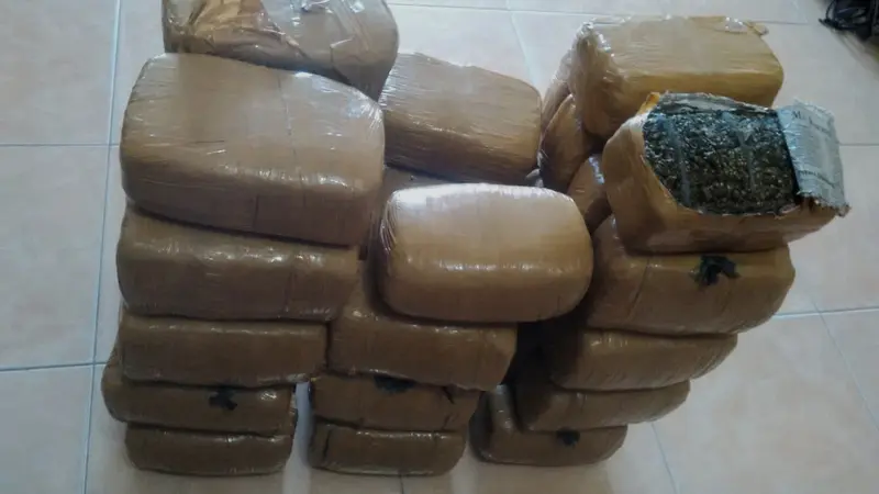 50 kilogram ganja kering yang akan diselundupkan ke Sumatera Utara (Rino Abonita/Liputan6.com)