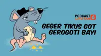 Podcast geger tikus got gerogoti wajah bayi di Bogor. (Liputan6.com)