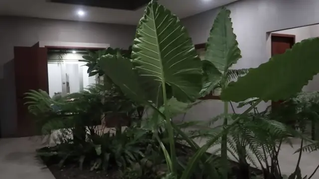 Rumah Dewi Sandra