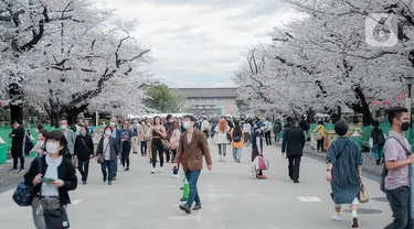 Para pengunjung menikmati sakura mekar di Taman Ueno, Tokyo, Sabtu (25/3/2023). Memasuki musim semi di Jepang, warga hingga turis mancanegara berbondong-bondong menikmati keindahan dari bunga sakura yang mekar. (Liputan6.com/Faizal Fanani)