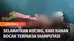 Seorang bocah kelas 6 SD di Labuhanbatu, Sumatera Utara, harus kehilangan kaki kanannya akibat terlindas truk. Korban mengalami kecelakaan saat akan menyelamatkan seekor kucing peliharaannya.