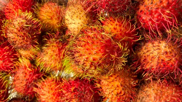 Buah Rambutan