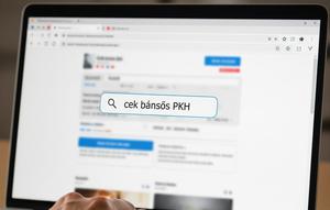 Cara Cek NIK KTP Penerima Bansos PKH (Gemini)