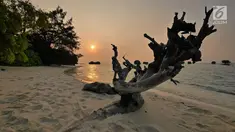 Suasana matahari tenggelam (sunset) di Pulau Pari, Kepulauan Seribu, Jakarta pada 3 Agustus 2019. Pulau Pari merupakan bagian dari 12 pulau dari Kelurahan Pulau Pari dengan potensi keindahan pantai dan alamnya. (Liputan6.com/Herman Zakharia)