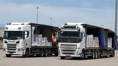 Truk-truk yang membawa bantuan menunggu untuk memasuki Jalur Gaza dari penyeberangan Kerem Shalom, Israel, pada 20 Mei 2025. (Jack GUEZ/AFP)