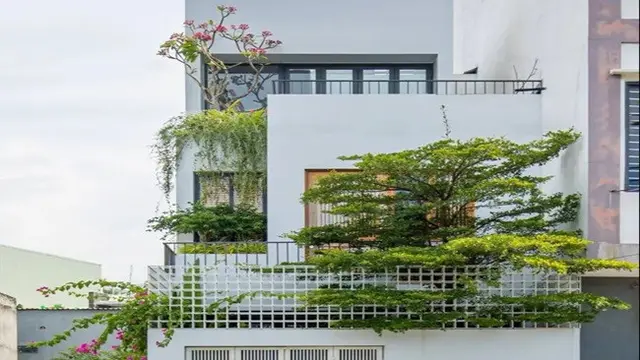 Model Rumah Sederhana