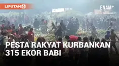 315 Ekor Babi Dikurbankan Pada Pesta Rakyat di Puncak