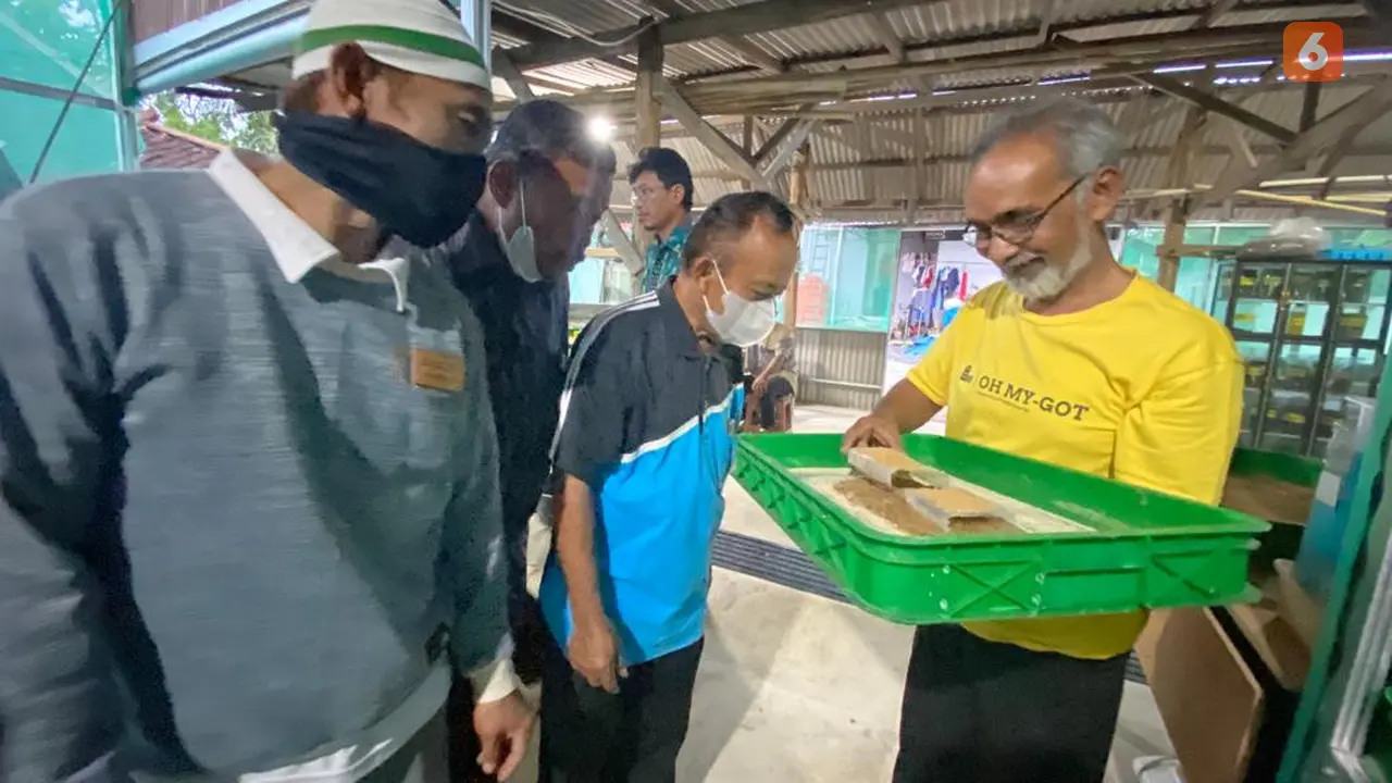 Sampah Organik