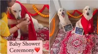 Wanita beri kejutan baby shower untuk anjing peliharaannya. (Sumber: Instagram/rosy_remo_the_retriever_007)