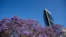 Bunga jacaranda yang bermekaran terlihat di Sydney, Australia (22/10/2020). Jacaranda adalah genus dari 49 spesies tanaman berbunga dalam keluarga Bignoniaceae, asli daerah tropis dan subtropis dari Amerika Tengah, Amerika Selatan, Kuba, Hispaniola dan Bahama.  (Xinhua/Bai Xuefei)