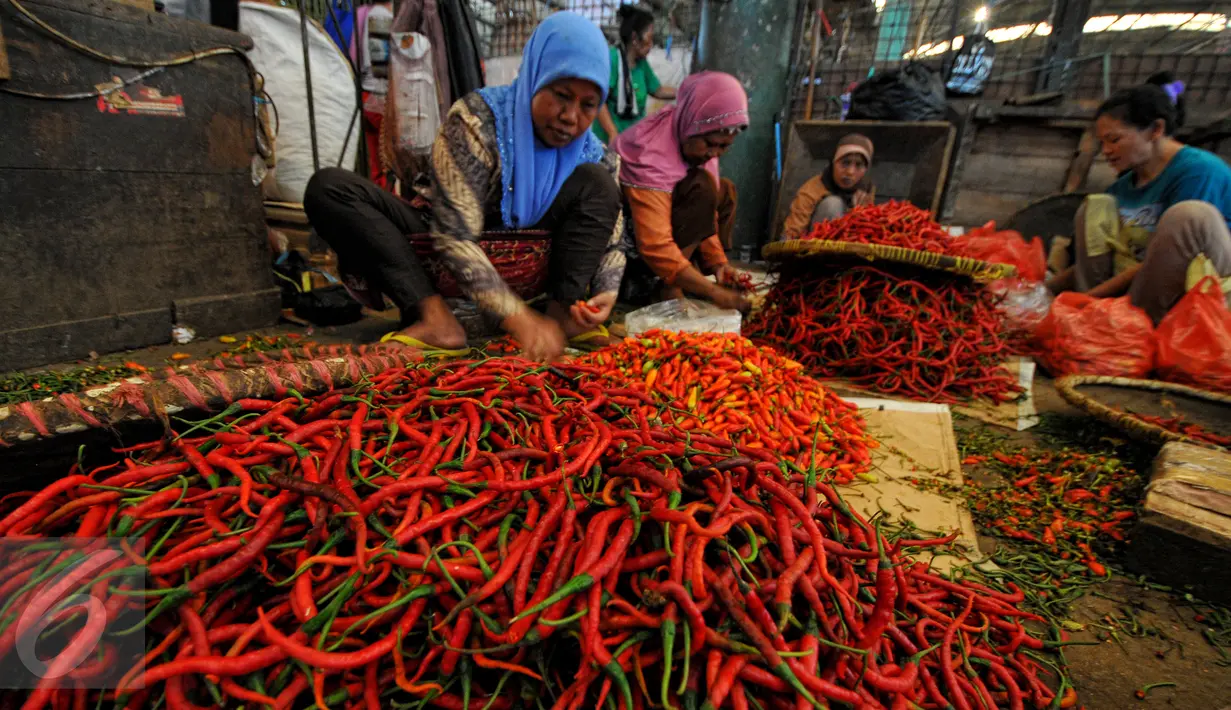 Seorang pedagang cabai tampak merapikan dagangannya , Pasar Induk Kramat Jati, Jakarta, Jumat (19/6/2015). Harga Cabai Keriting naik dari harga Rp10 ribu menjadi Rp25 ribu/kg. (Liputan6.com/Yoppy Renato)