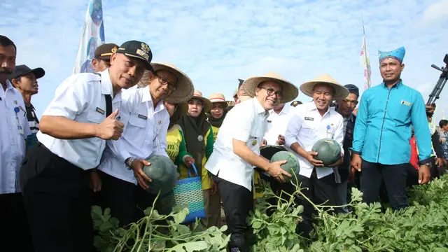 Banyuwangi Panen Raya Semangka, Bupati Anas Ajak Petani Garap Produk Turunan
