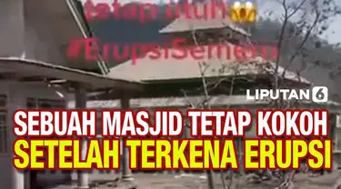 Sebuah video yang memperlihatkan kondisi desa usai terkena erupsi Gunung Semeru tengah viral di media sosial. Bagaimana tidak, dalam video tersebut terlihat jelas terdapat sebuah masjid yang masih berdiri kokoh di saat bangunan-bangunan lain di sekit...