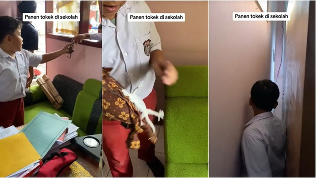 Aksi Berani Bocah SD Tangkap Tokek dengan Tangan Kosong, Heboh Bantu Sang Guru