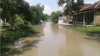 Banjir di Desa Bajang Ponorogo. (Liputan6.com/Dian Kurniawan)