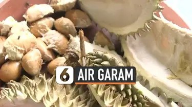 Beredar kabar air garam bisa meredam rasa panas usai makan durian. Benarkah demikian, selengkapnya dalam Hoax atau Bukan.