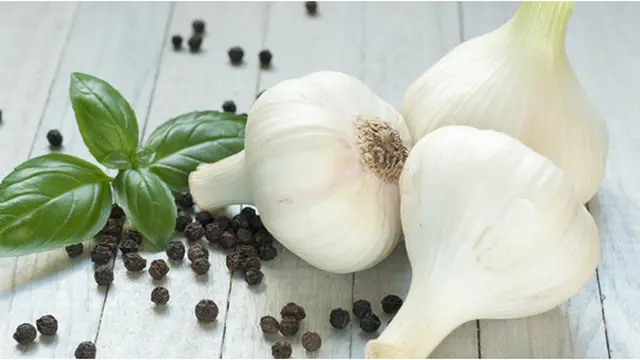 Courtesy ShutterStock.com