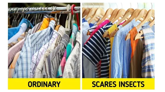 Selain Estetika, Ini 7 Fungsi Tersembunyi di Balik Tanda Kecil Pada Baju