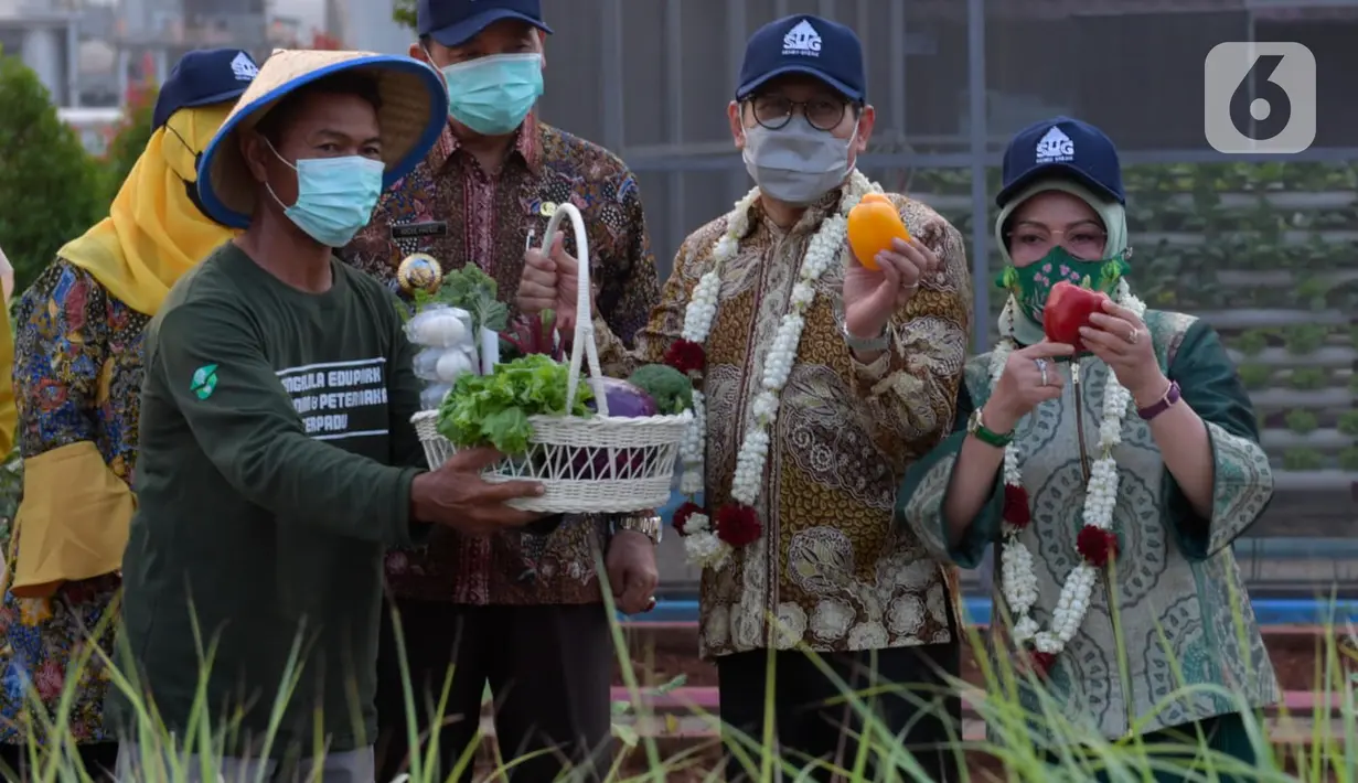 Menteri Desa PDT dan Transmigrasi, Abdul Halim Iskandar menunjukkan hasil pertanian di Edu Park Semen Gresik, Rembang (17/9/2021). Edupark yang merupakan anak usaha dari PT Semen Indonesia Tbk (SIG) ini dikelola oleh Badan Usaha Milik Desa (BUMDes) Mbangun Deso (Liputan6.com/HO/Wening PDT)