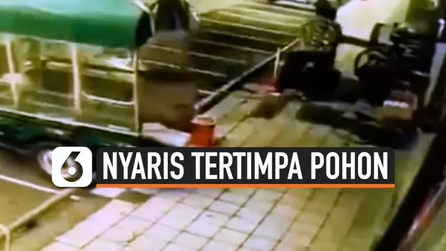 thumbail nenek nyaris tertimpa pohon