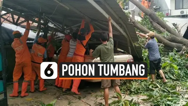 Angin kencang yang terjadi di wilayah Cawang, Jakarta Timur, Kamis (14/11/2019) siang. Membuat pohon mangga berukuran besar tumbang menimpa kanopi dan dua mobil.