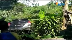 Satu keluarga asal Bandung mengalami kecelakaan, saat minibus yang ditumpanginya terjun ke jurang sedalam 15 meter di Pangandaran usai perjalanan wisata.