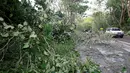 Sebuah mobil melintas di dekat pohon yang tumbang akibat Topan Nock-Ten di Camarines Sur, wilayah Bicol, Filipina tengah (26/12). Topan itu diperkirakan keluar dari Laut Cina Selatan di penghujung hari. (REUTERS/Erik De Castro)