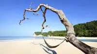 Pantai Tarimbang (shutterstock.com)