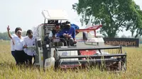 Ikut Arahan Erick Thohir, ID Food Gandeng Petani Hadapi Krisis Pangan