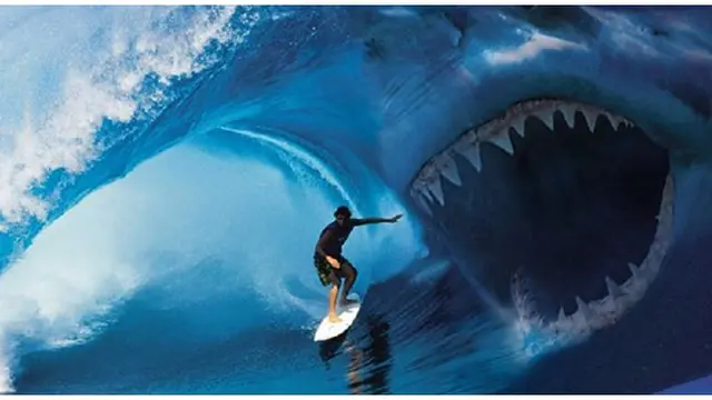 Foto: copyright viewallpaperhd/com