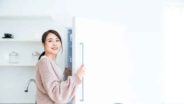 Beli Kulkas 1 Pintu atau 2 Pintu, Mana yang Paling Sesuai dengan Kebutuhan?