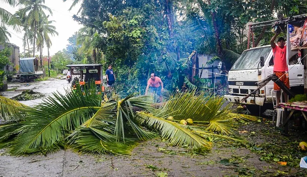 Warga membersihkan pohon kelapa yang tumbang akibat terjangan topan Phanfone di Borongan, Provinsi Samar Timur, Filipina, Rabu (25/12/2019). Topan membuat jutaan warga di negara yang mayoritas beragama Katolik itu merayakan Natal dengan kesedihan. (ALREN BERONIO/AFP)