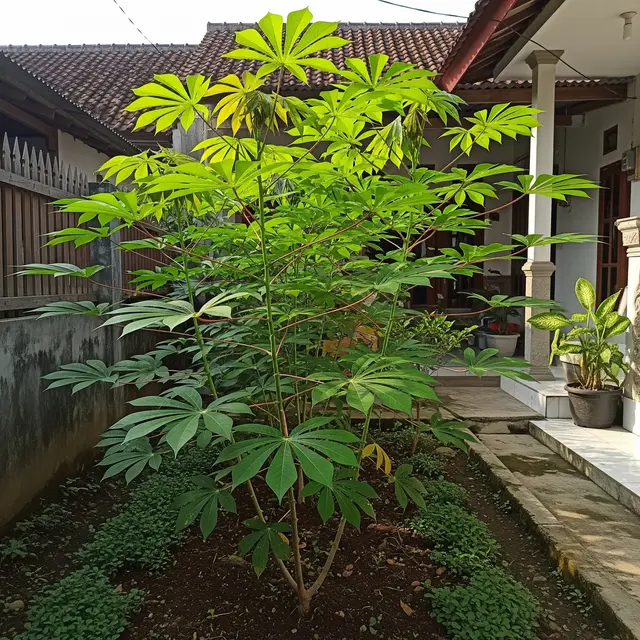 13 Tanaman yang Bisa Jadi Tabungan Hidup Selain Pohon Buah, Investasi Jangka Panjang