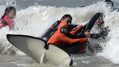 Tim penyelamat dan sukarelawan berupaya mengembalikan paus pembunuh ke laut setelah terdampar, di pantai Mar Chiquita, Argentina, Senin (16/9/2019). Sebanyak enam dari tujuh paus pembunuh yang ditemukan terdampar berhasil dikembalikan ke laut, tetapi satu di antara mereka mati. (AP/Marina Devo)