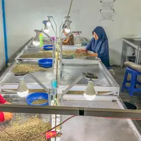 UMKM Tanah Air Tingkatkan Kesejahteraan Petani. Dok. Sakha Coffee Roastery