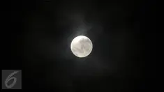 Fenomena alam Supermoon tampak di langit Kabupaten Bogor, Jawa Barat, Senin (14/11). Fenomena ini terjadi saat bulan mencapai titik terdekat dengan bumi dalam kondisi purnama atau penuh. (Liputan6.com/Helmi Fithriansyah)