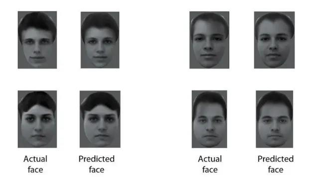 Tampilan citra wajah manusia seperti yang direka dari pemantauan kegiatan sel-sel otak monyet. (Sumber Caltech/Doris Tsao)