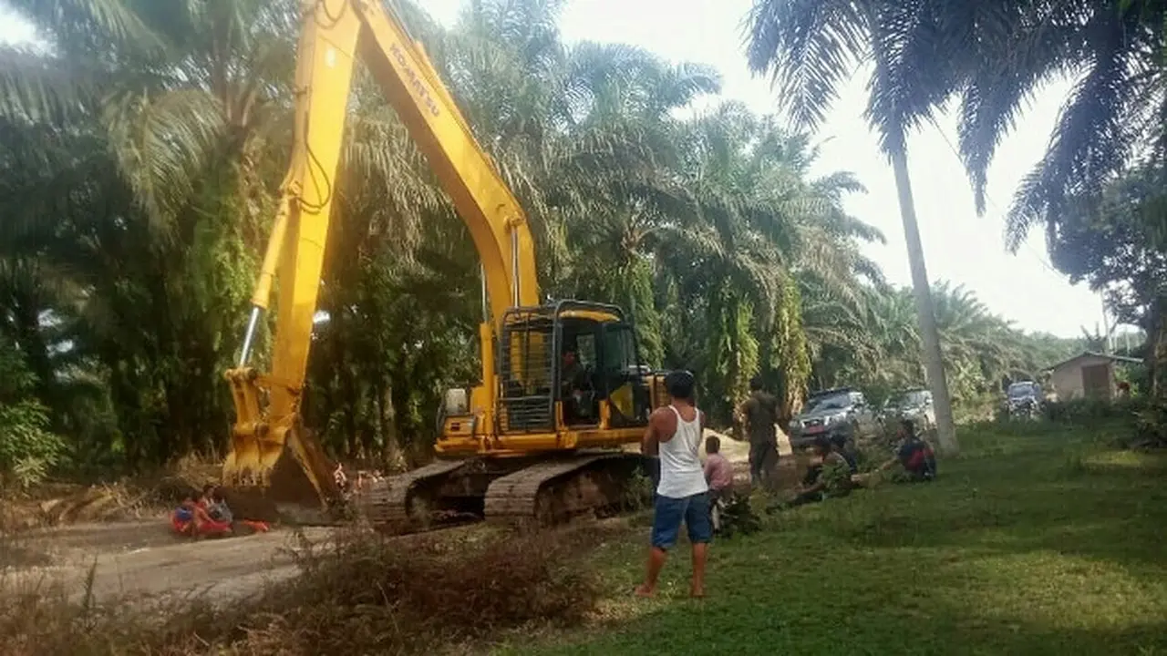 Alat berat milik pecatan TNI yang kuasai ribuan hektar lahan Cagar Biosfer