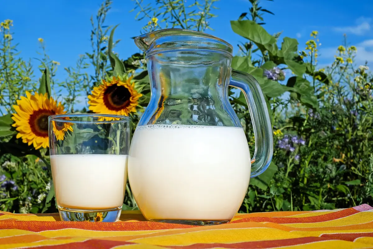 Ilustrasi Susu