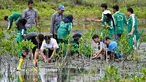 Beberapa siswa Sekolah Menengah Atas (SMA) didampingi para guru menanam bibit mangrove di taman mangrove, Banda Aceh pada 25 Oktober 2025. (CHAIDEER MAHYUDDIN/AFP)