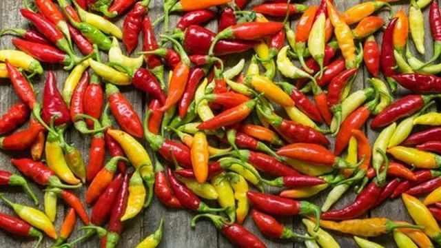 Cabai Rawit (Sumber: Merdeka.com/dream.co.id)