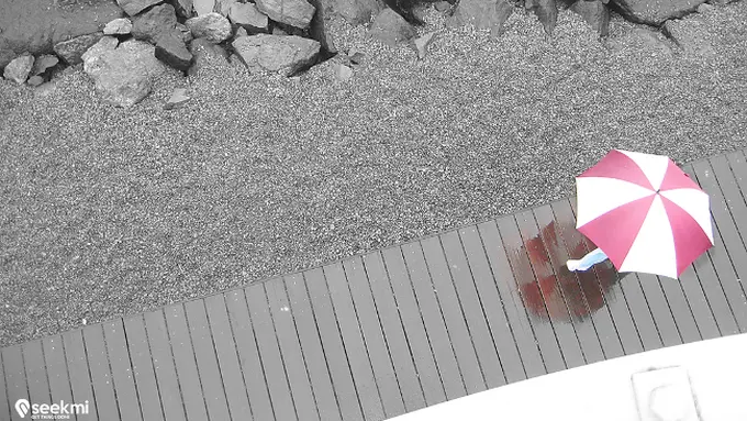 Musim Hujan, Perbanyak Konsumsi 4 Makanan Ini