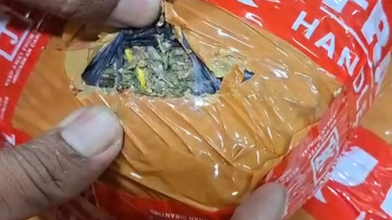 Barang bukti ganja yang dibawa pengedar narkoba yang Ditangkap di Stasiun Tanah Abang