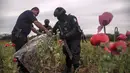 Sejumlah polisi menyita bunga poppy ilegal di sebuah perkebunan di desa Los Pericos, kota Mocorito, Meksiko (15/3). (AFP/Rashide Frias)