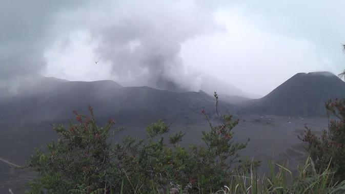 Aktivitas Gunung Bromo Berangsur Normal (Liputan6/Dian Kurniawan)