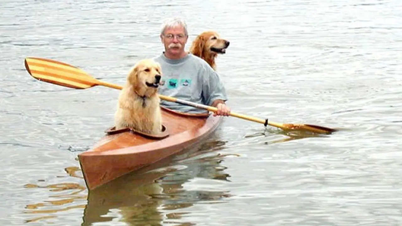 Sahabat Anjing