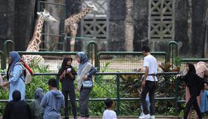 Pengunjung saat menikmati suasana Taman Margasatwa Ragunan, Jakarta, Jumat (5/8/2025). (Kapanlagi.com/Budy Santoso)