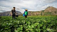 Momentum Hari Tani Nasional, BRI perluas akses keuangan dan pemberdayaan petani. Foto: BRI