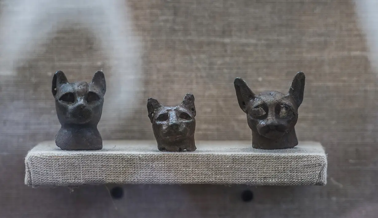 Patung perunggu kucing yang ditemukan di sekitar kompleks piramida Raja Userkaf di Saqqara, Giza, Sabtu (10/11). Arkeolog Mesir menemukan 7 makam kuno zaman Firaun berisi puluhan mumi kucing dan patung-patung kayu bergambar hewan lain (KHALED DESOUKI/AFP)
